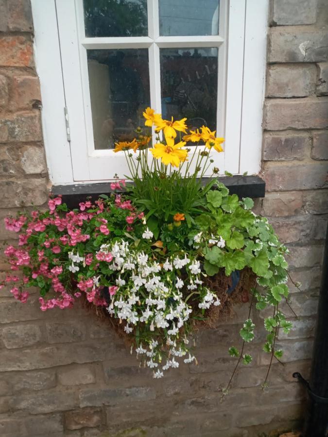 Delighful Self Catering In The Heart Of Glastonbury Esterno foto